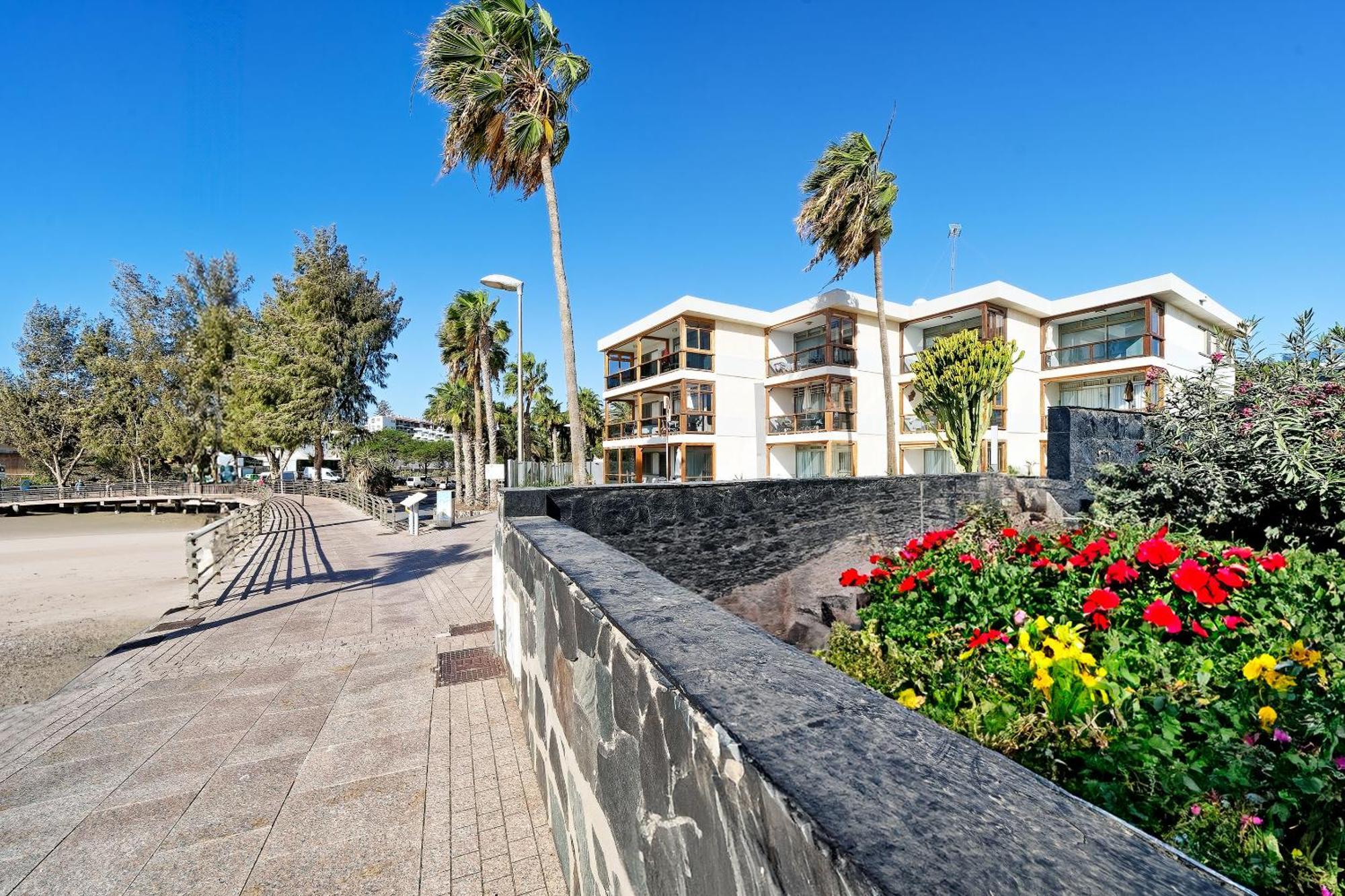 Apartamentos Los Papagayos San Agustín Exteriér fotografie